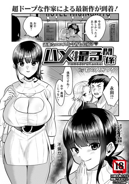 Gonzo relationship (single story) メイン画像