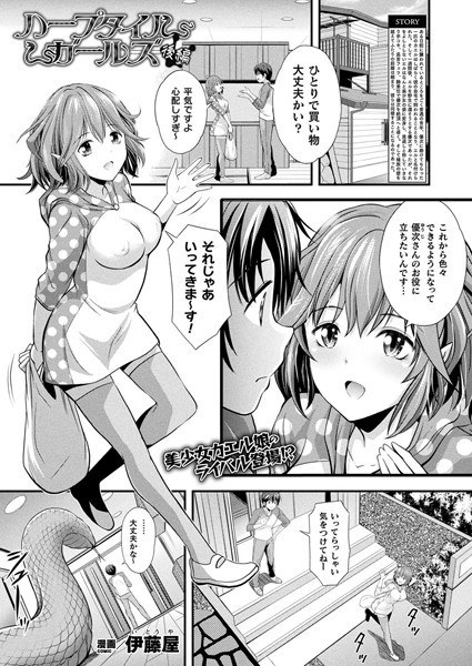 ハープタイルガールズ（単話） メイン画像