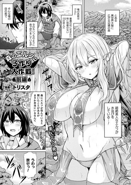 A forest elf child-making strategy! (single story) メイン画像