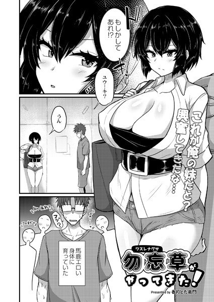 勿忘草がやってきた!(単話) メイン画像