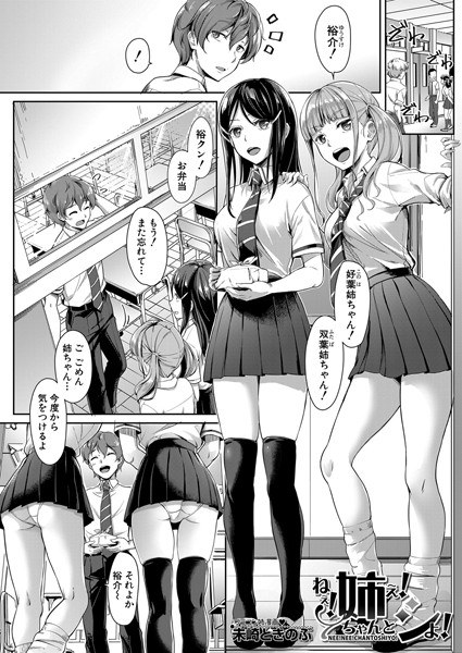 ねぇ！姉ぇ！ちゃんとシよ！（単話） メイン画像