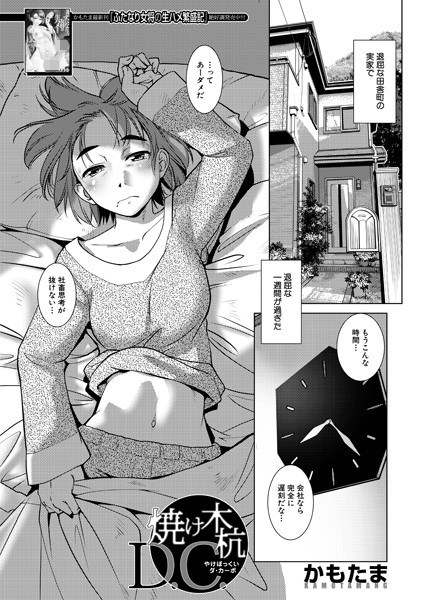 烧木桩 D.C(单层) メイン画像