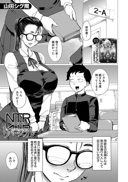 NTR 双面（单层） メイン画像