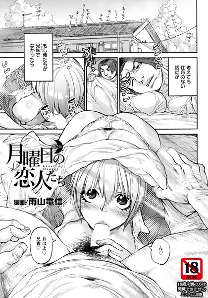 Otoshiana of SNS marketing (single story) メイン画像
