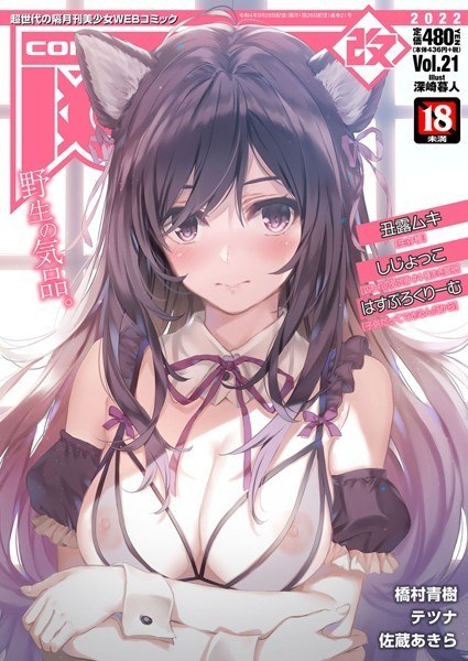 COMIC阿吽 改 Vol.21 メイン画像