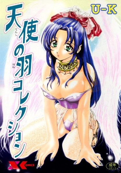 天使の羽コレクション メイン画像