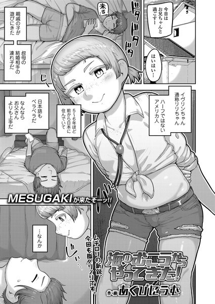从大洋彼岸而来！ （单篇） メイン画像