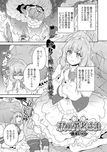 我的英雄（单篇） メイン画像