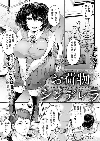 行李灰姑娘（单层） メイン画像