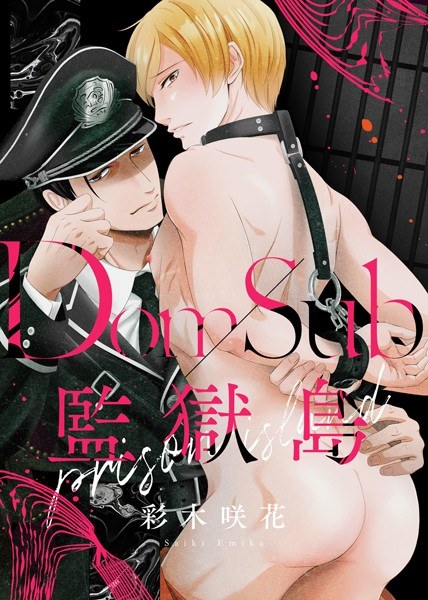 ●特装版●Dom/Sub監獄島【電子限定おまけ付き】 メイン画像