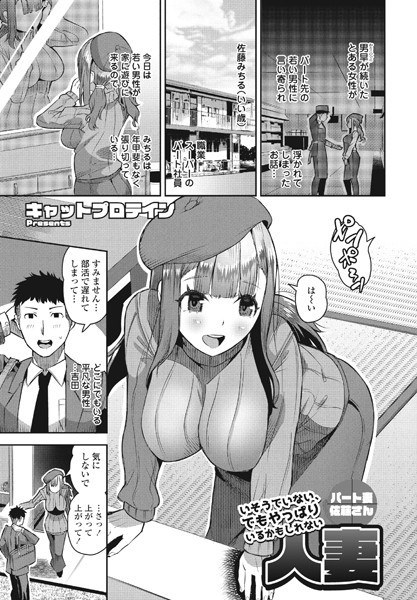 いそうでいない、でもやっぱりいるかもしれない人妻(単話) メイン画像