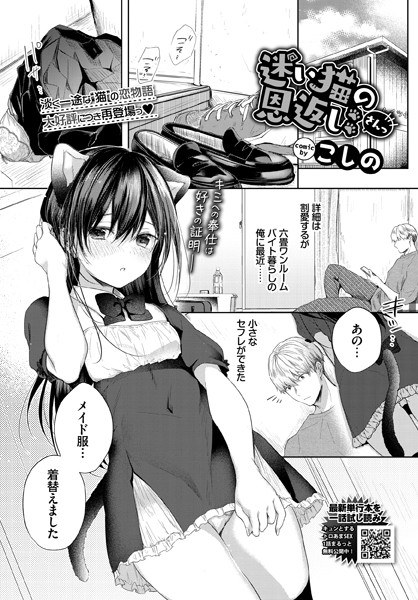 迷い猫の恩返し（単話） メイン画像