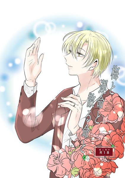 義母にマウント返し 〜欲求不満なおばさんを〜【CG集コレクション】 メイン画像