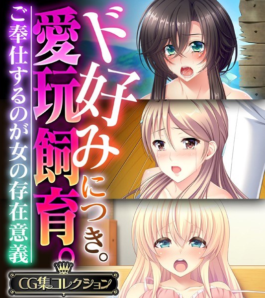 ド好みにつき。愛玩飼育 。 〜ご奉仕するのが女の存在意義〜【CG集コレクション】 メイン画像