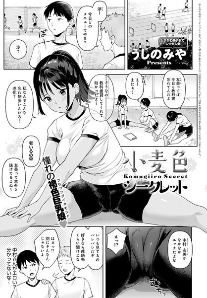 小麦色シークレット（単話） メイン画像