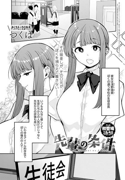 高级条件(单层) メイン画像