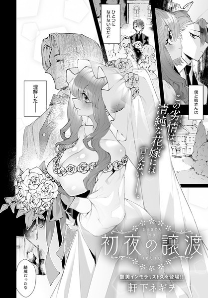 First night's transfer (single story) メイン画像