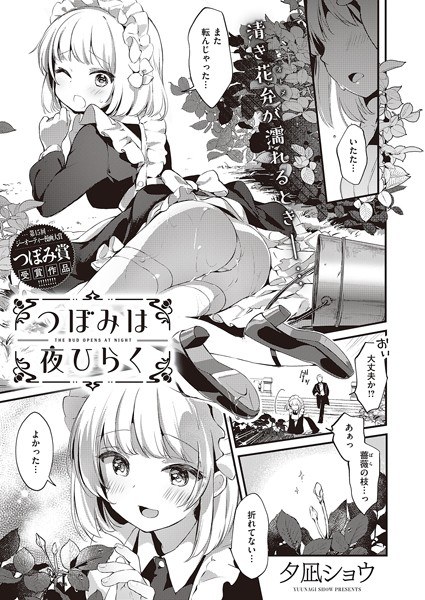 Buds open at night (single story) メイン画像