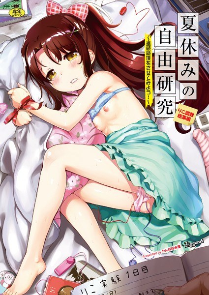 夏休みの自由研究 総集編【フルカラー版】 メイン画像