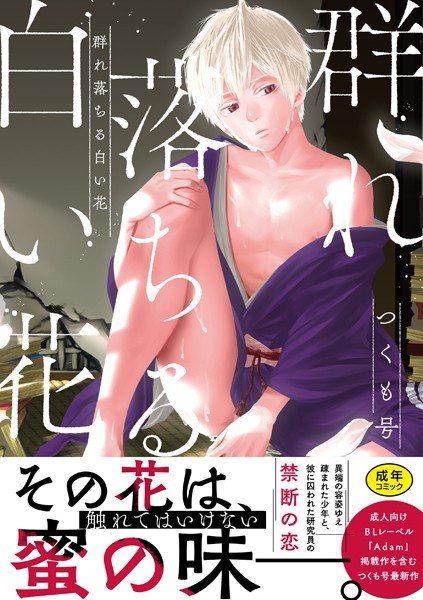 群れ落ちる白い花 メイン画像