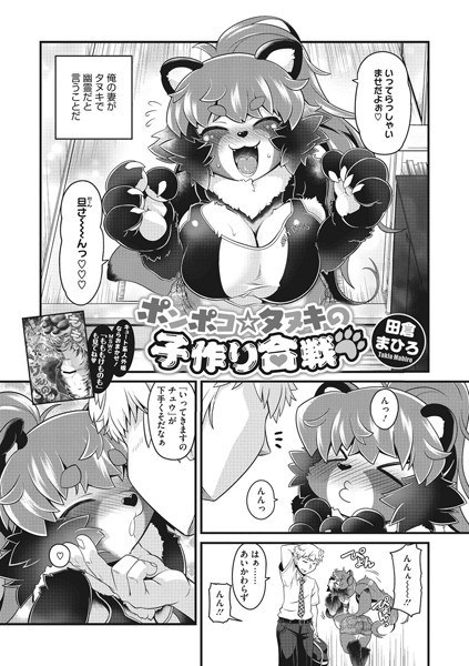 ポンポコ☆タヌキの子作り合戦(単話) メイン画像