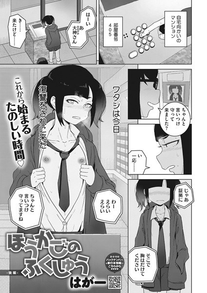 ほうかごのふくしゅう(単話) メイン画像