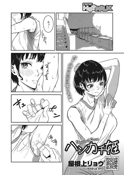 手帕公主（单篇） メイン画像