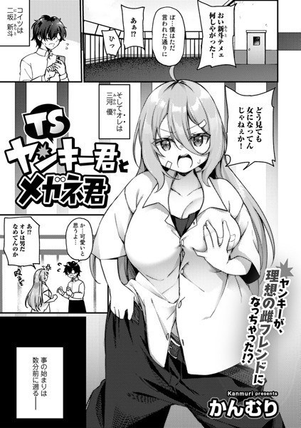 TS Yankee and Glasses (single story) メイン画像