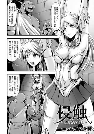 侵触〜堕ちた姫騎士〜（単話） メイン画像