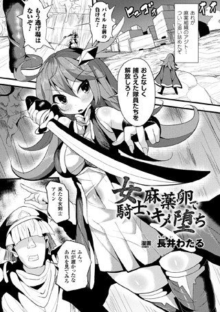 女騎士、麻薬卵でキメ堕ち(単話) メイン画像