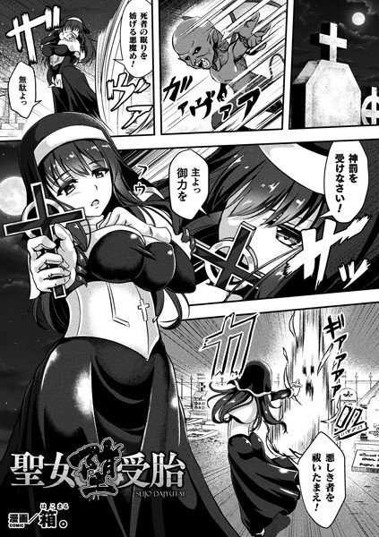 聖女堕受胎（単話） メイン画像