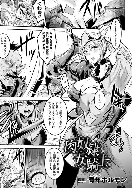 肉奴隷女騎士（単話） メイン画像