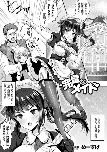 完璧なメイド(単話) メイン画像