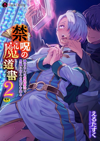 禁呪の魔道書 盗賊男子を催●魔法で絶対服従（単話） メイン画像