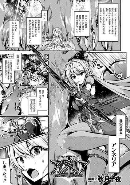 堕ちた守護者アンネリア スライムに陥落せし二つの穴（単話） メイン画像