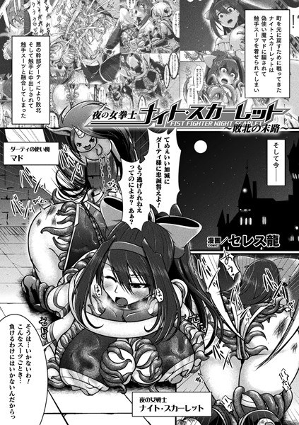 夜の女拳士ナイト・スカーレット 〜敗北の末路〜（単話） メイン画像