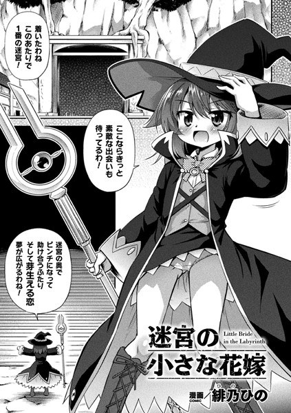 迷宮の小さな花嫁（単話） メイン画像