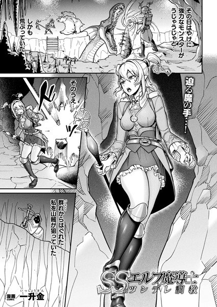 SS級エルフ魔導士 ツンデレ調教（単話） メイン画像
