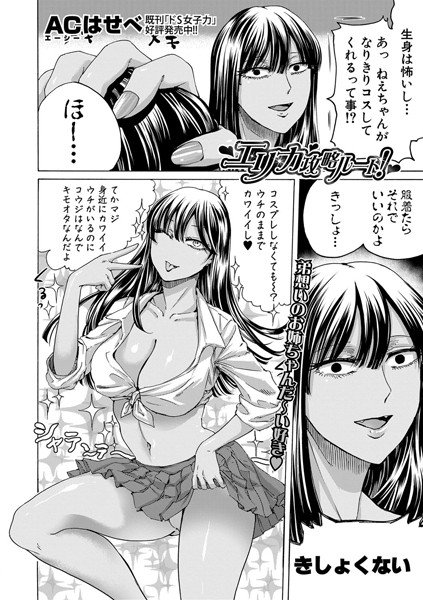 Erika capture route! メイン画像