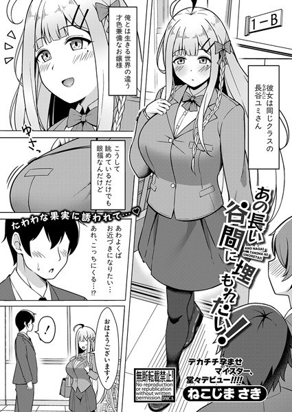 ねこじまさき