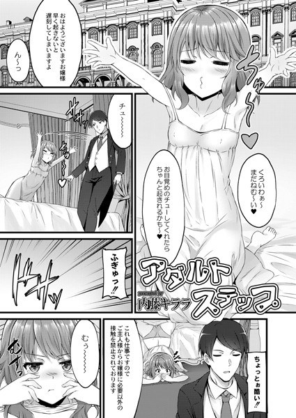Adult step (single story) メイン画像