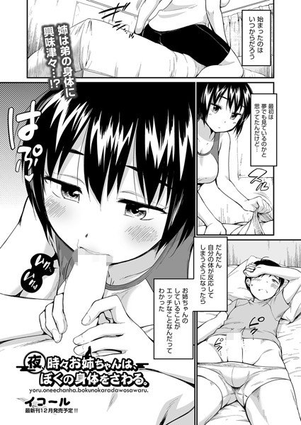 夜、時々お姉ちゃんは、ぼくの身体をさわる。（単話） メイン画像