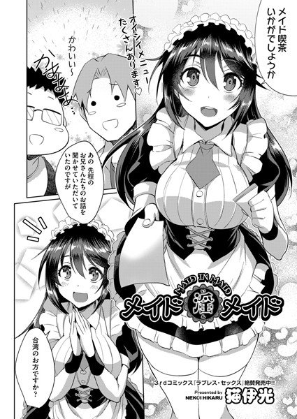Maid indecent maid (single story)