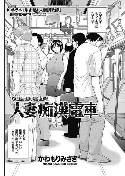 人妻痴漢電車（単話） メイン画像