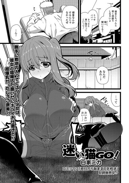 迷い猫GO!(単話) メイン画像