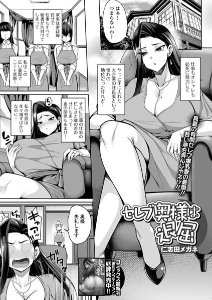 セレブ奥様は退屈（単話） メイン画像