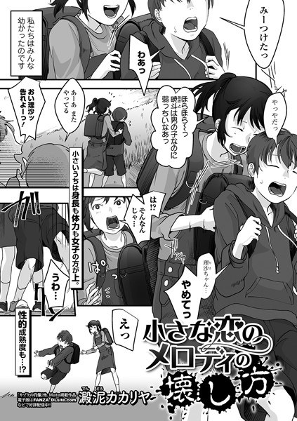 小さな恋のメロディの壊し方（単話） メイン画像