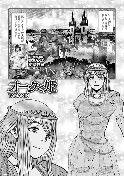 兽人和公主（单层） メイン画像