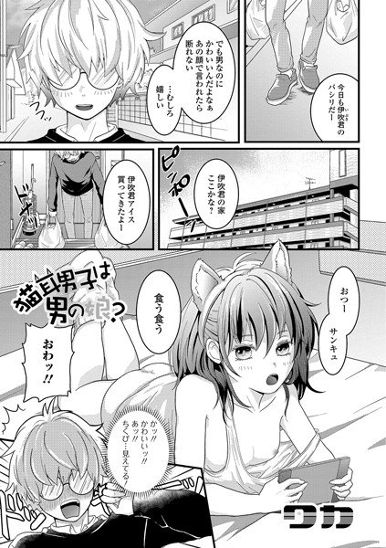 猫耳男子は男の娘？（単話） メイン画像