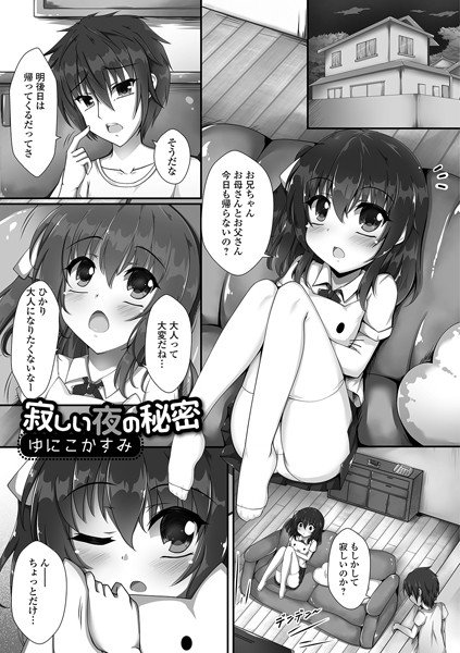 寂しい夜の秘密（単話） メイン画像